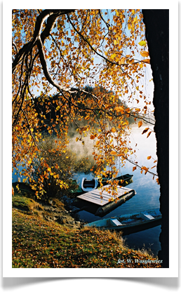 SOLINA_IV